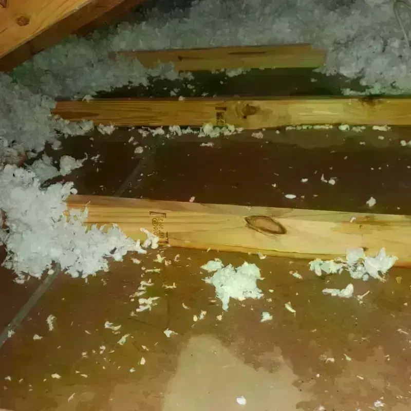 Attic Water Damage in Rosiclare, IL